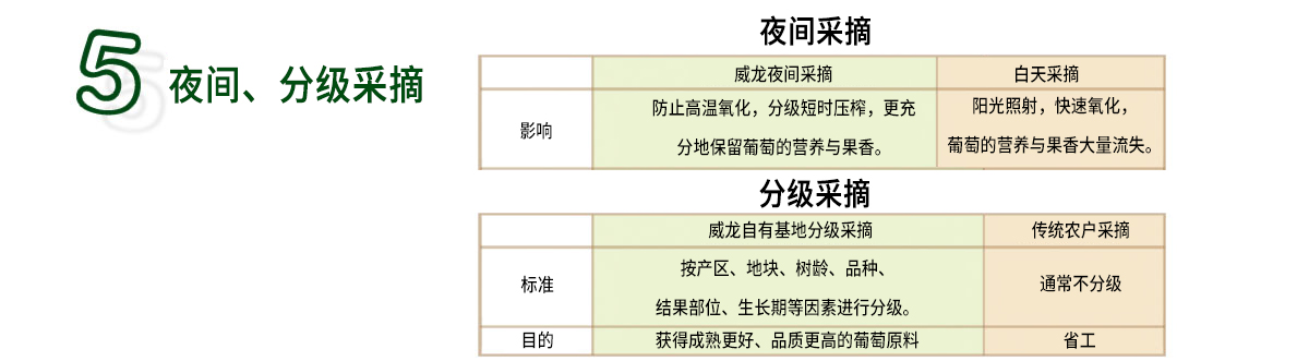 威龍葡萄酒技術(shù)體系